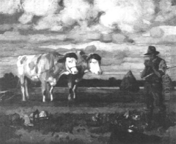 Auf Dem Feld - view 1