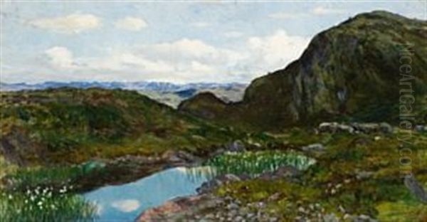 Fra Jotunheimen - view 1