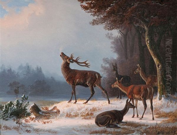Der Platzhirsch - view 1