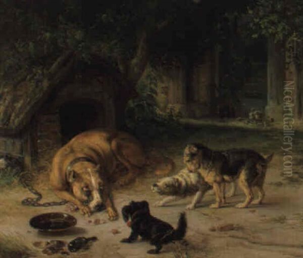 Die Futterschussel - view 1