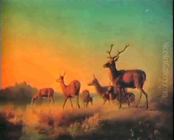 Deer Watering In An Extensive Landscape - view 1