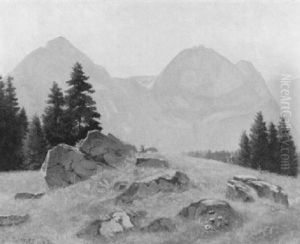 Blick Uber Eine Grasbewachsene Hugelkuppe Zum Schwefelberg
