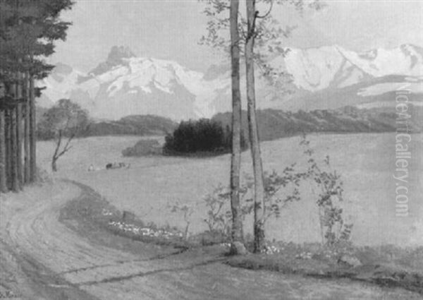 Wiesenlandschaft Mit Feldweg Und Stockhornkette - view 1