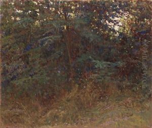 Angolo Di Bosco Angolo Di Bosco