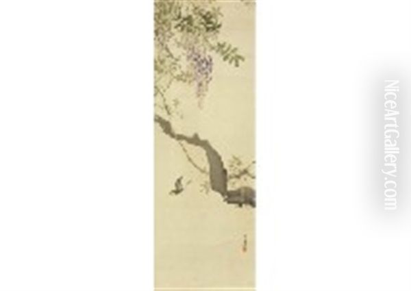 Purple Wisteria - view 1