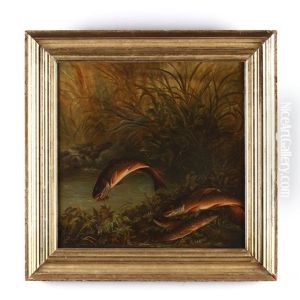 Brook Trout Taking A Dry Fly by Samuel A. Kilbourne