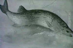 Pickerel And Bass (a Pair) by Samuel A. Kilbourne