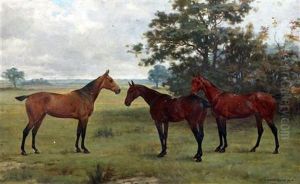 Portrait Of Three Horses In A Field by George Goodwin Kilburne