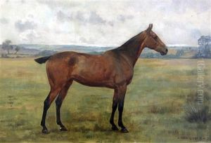 Portrait Of A Horse In A Field by George Goodwin Kilburne