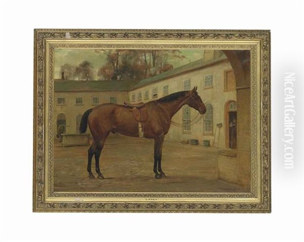 Liffey, A Saddled Hunter In A Stable Yard - view 1