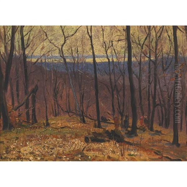 Wooded Landscape - view 1