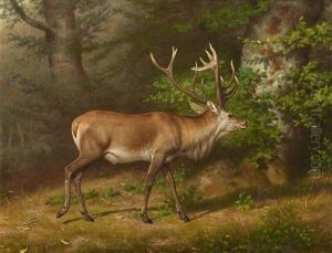 A Deer by Friedrich Anton Kilp
