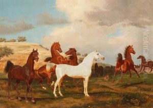 Grose Pferdegruppe Mit Weisem Schimmel In Weiter Landschaft by Friedrich Anton Kilp