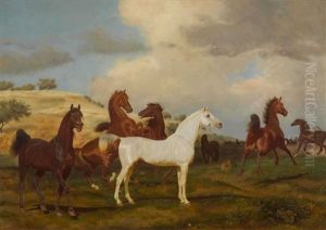 Pferde Mit Einem Schimmel Auf Der Koppel by Friedrich Anton Kilp