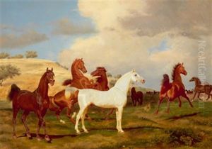 Pferde Auf Der Weide by Friedrich Anton Kilp