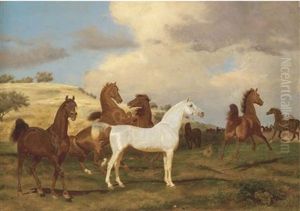 Horses In A Landscape by Friedrich Anton Kilp