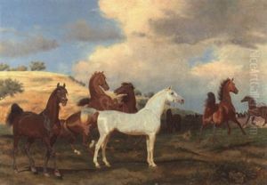 Hengste Auf Der Weide by Friedrich Anton Kilp