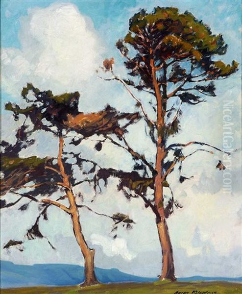 Cambria Pines - view 1