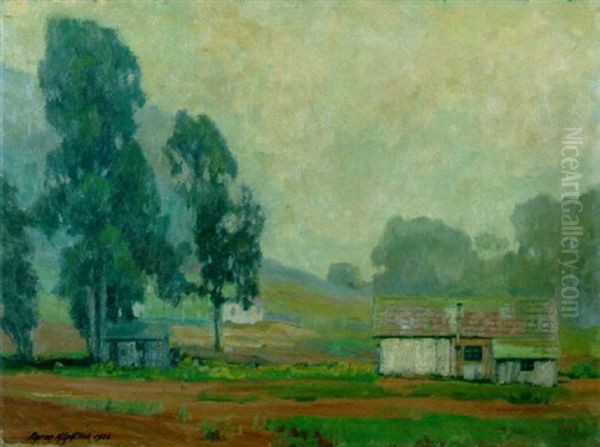 Morro Mist (no.85) - view 1