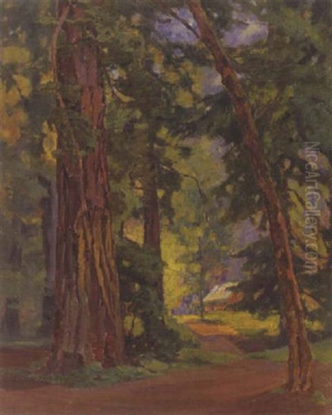 A Cabin In The Redwoods (no.330) - view 1