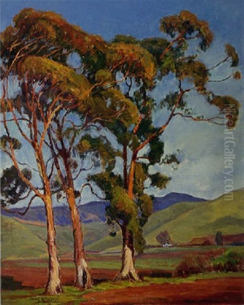 A Valley Ranch Viewed Through Trees - view 1