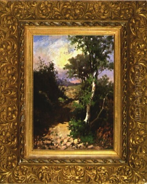 Woodland Lane - view 1