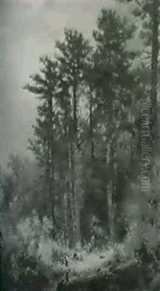 The Clearing - view 1