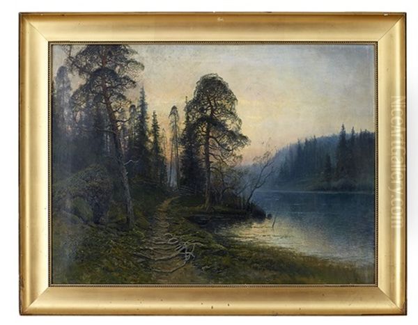 Skogsstig Invid Sjo I Skymning by Johan Kindborg