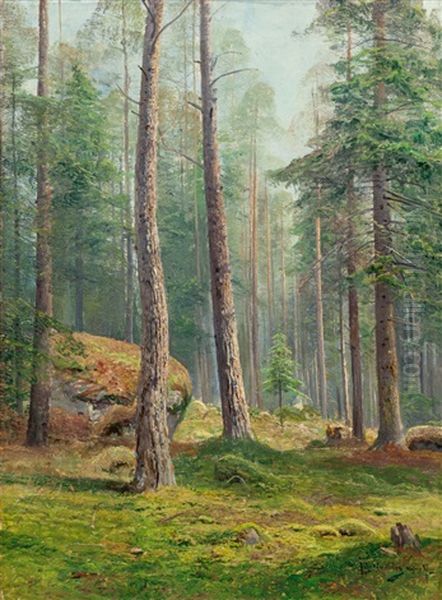 Wooded Landscape - view 1