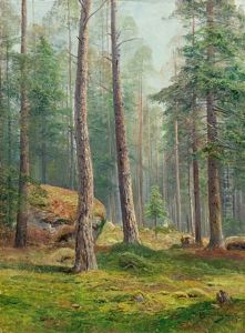 Wooded Landscape