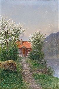 Stuga Vid Gronskande Trad