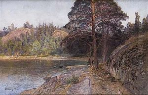 Skargardsvik by Johan Kindborg