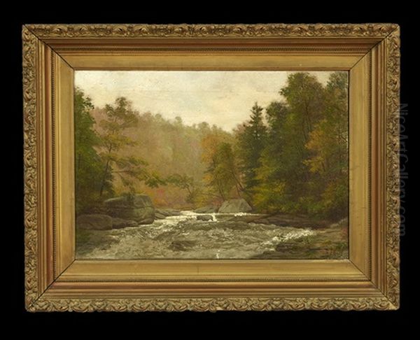 Wooded River Landscape - view 1