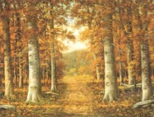 Forest Path In Autumn