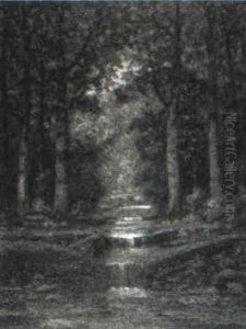 Forest Landscapes Forest Landscapes