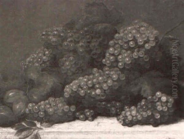 Tabletop Stilllife Of Grapes - view 1