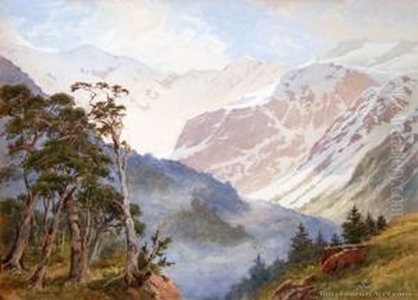 The Spur, Mt Rolleston - view 1