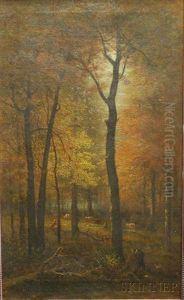Autumn Woods With Cows Autumn Woods With Cows