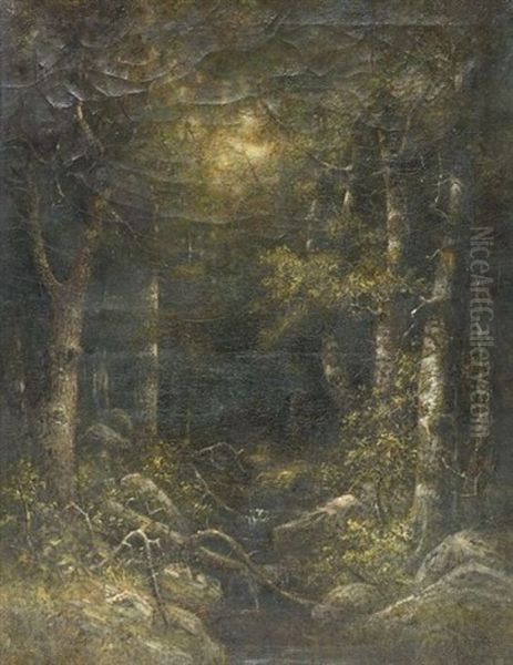 Woodland Interior - view 1