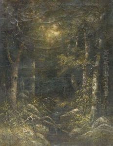 Woodland Interior Woodland Interior