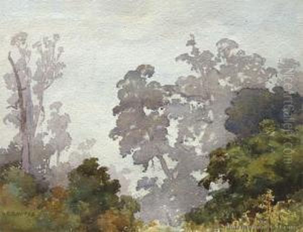 Westland - view 1
