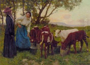 Feeding The Calves