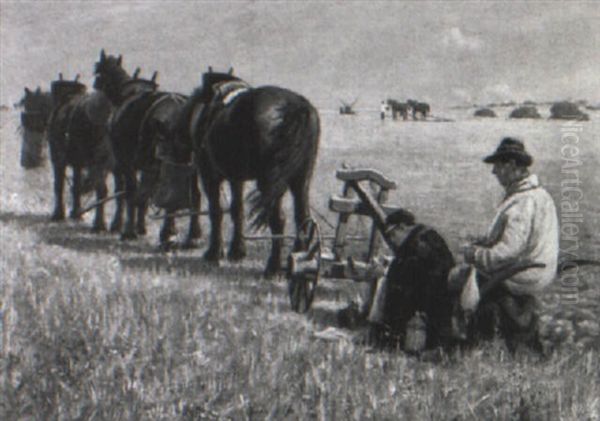 Ploughing - view 1