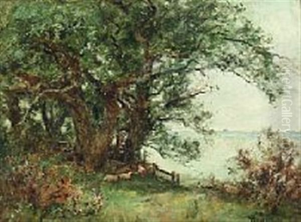Landscape With Sheep - view 1