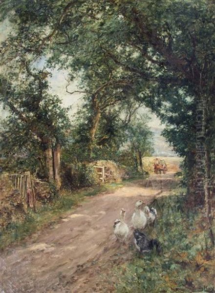 Geese On A Path - view 1