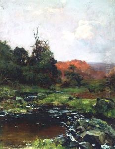 Deer By A Mountain Stream