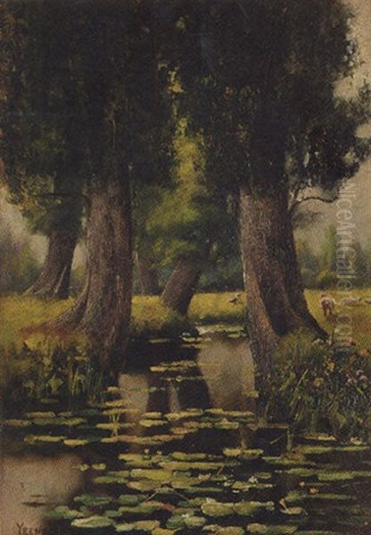 Sheep Grazing By A River - view 1