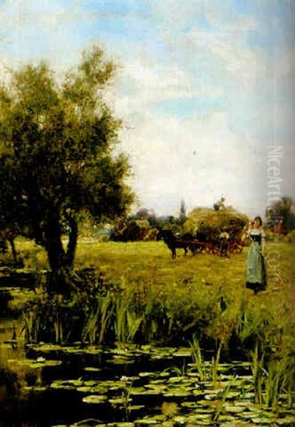Hobargning - view 1