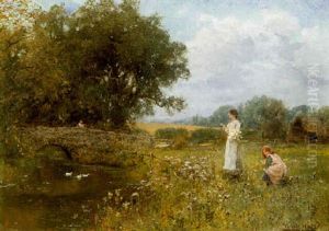 A Buckinghamshire Meadow