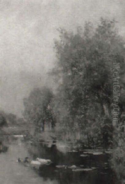 The Duck Pond - view 1